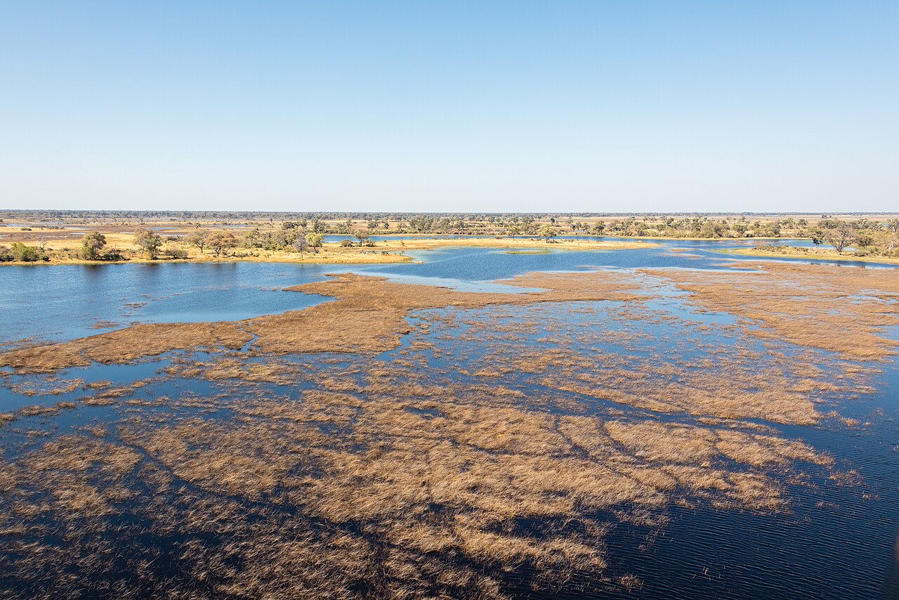 Vista aérea del delta del Okavango, Botsuana, 2018-08-01, DD 39