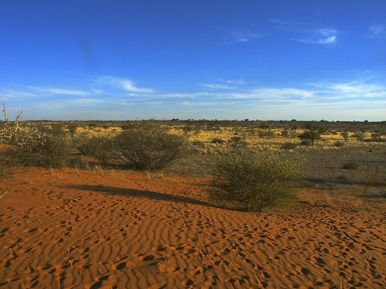 Kalahari PICT0036