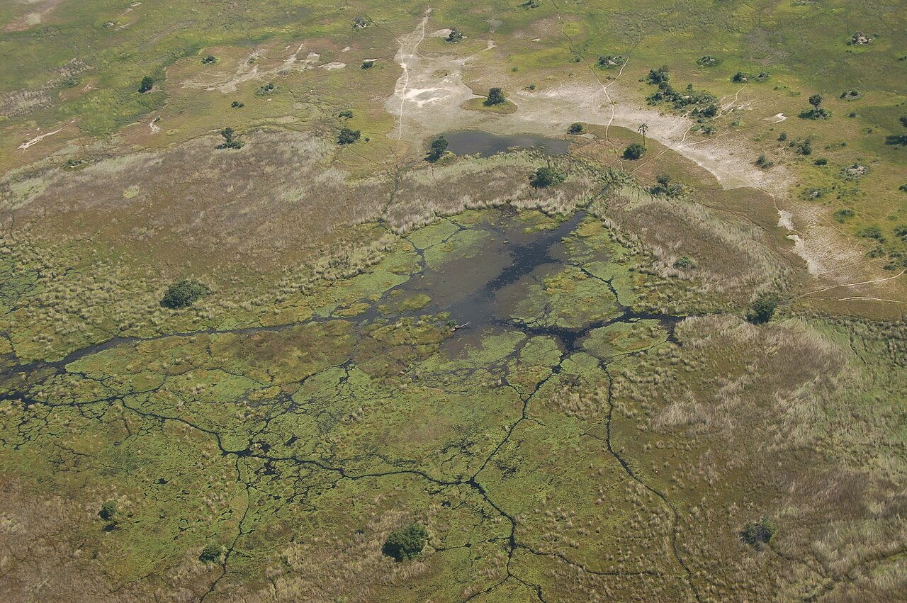 Okavango Delta, Botswana3