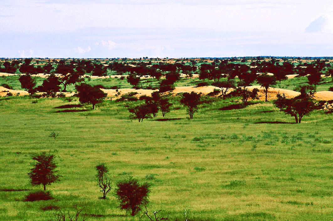 Kalahari (2006) 16