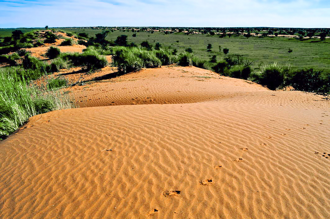 Kalahari (2006) 15