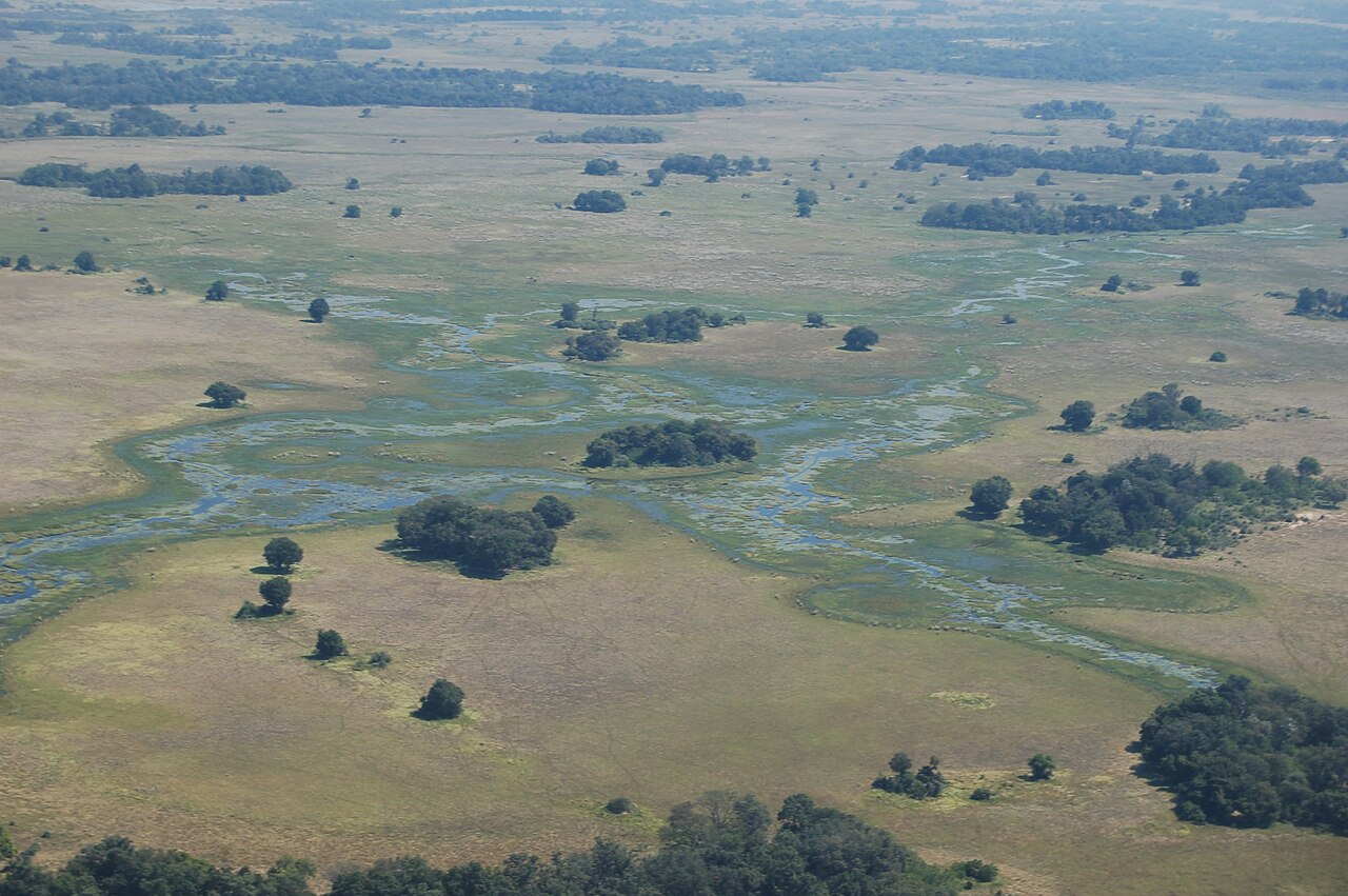 Okavango Delta, Botswana4